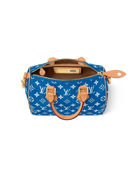 Louis Vuitton Bags M24424 25X15X15cm