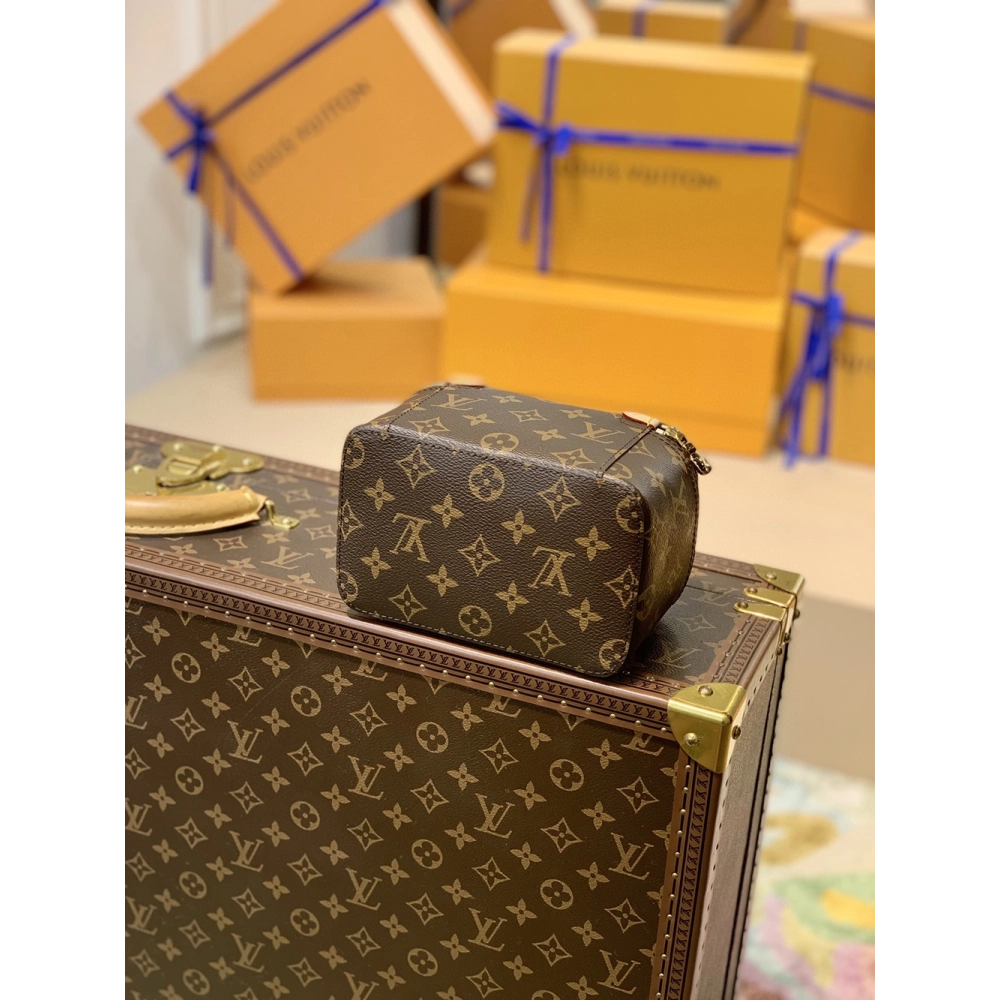 Louis Vuitton Bags M43688 17X8.5X9.5cm