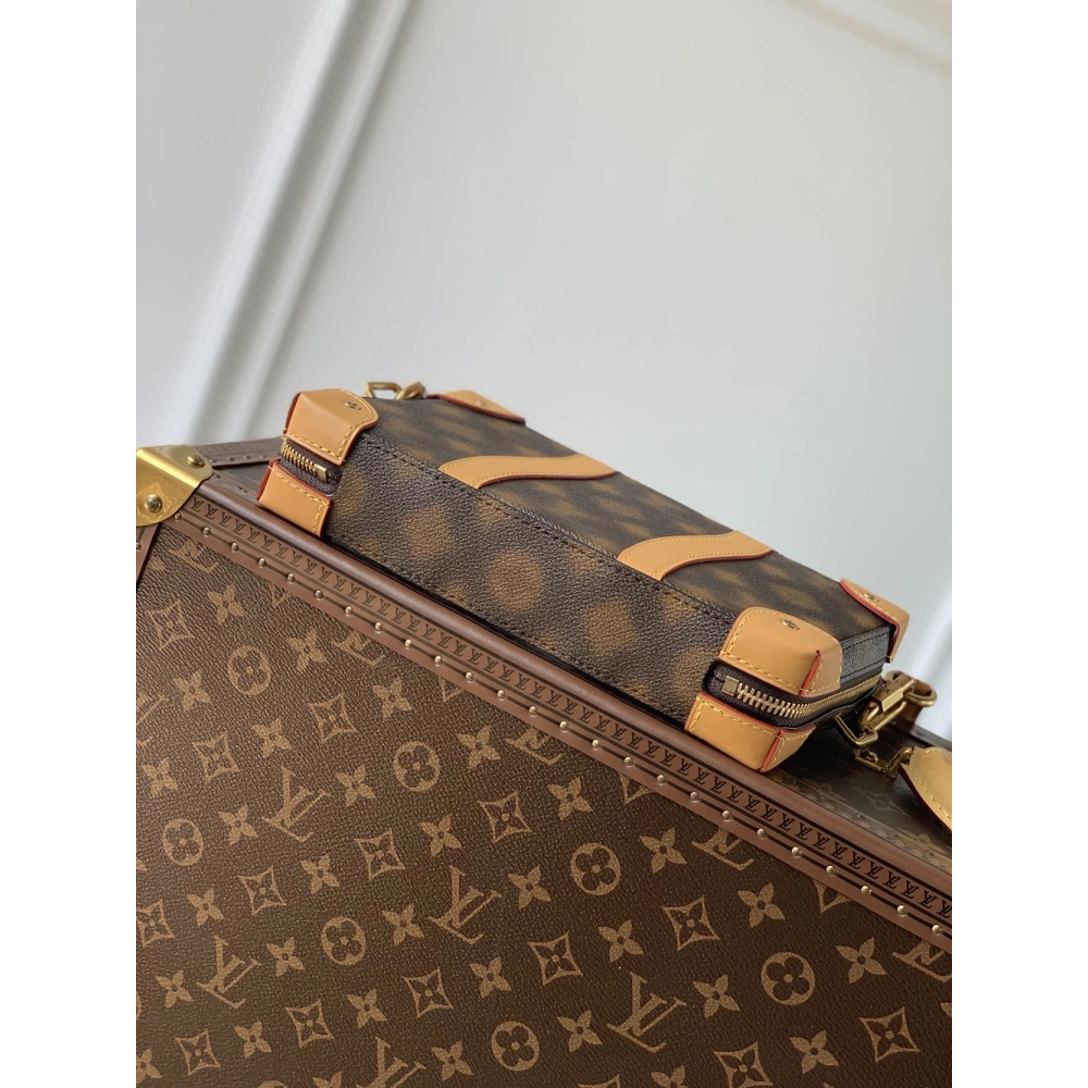 Louis Vuitton Bags M81580 22.5X14X5cm