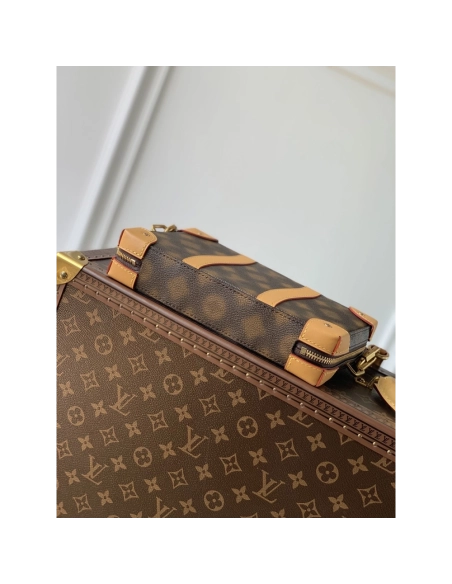 Louis Vuitton Bags M81580 22.5X14X5cm