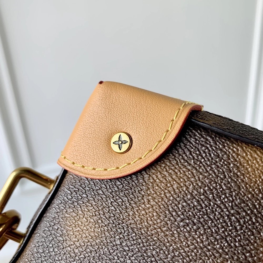Louis Vuitton Bags M81580 22.5X14X5cm