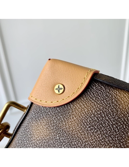 Louis Vuitton Bags M81580 22.5X14X5cm