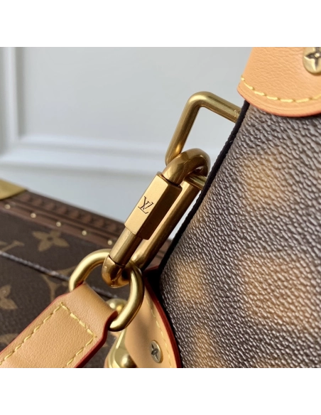 Louis Vuitton Bags M81580 22.5X14X5cm