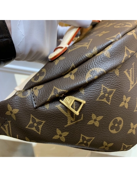 Louis Vuitton Bags M43644 37X14X13cm