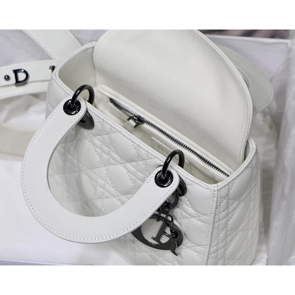 Christian Dior Bags M8001 20cm