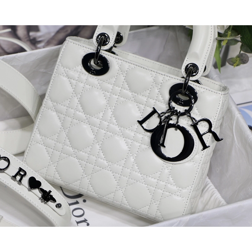 Christian Dior Bags M8001 20cm