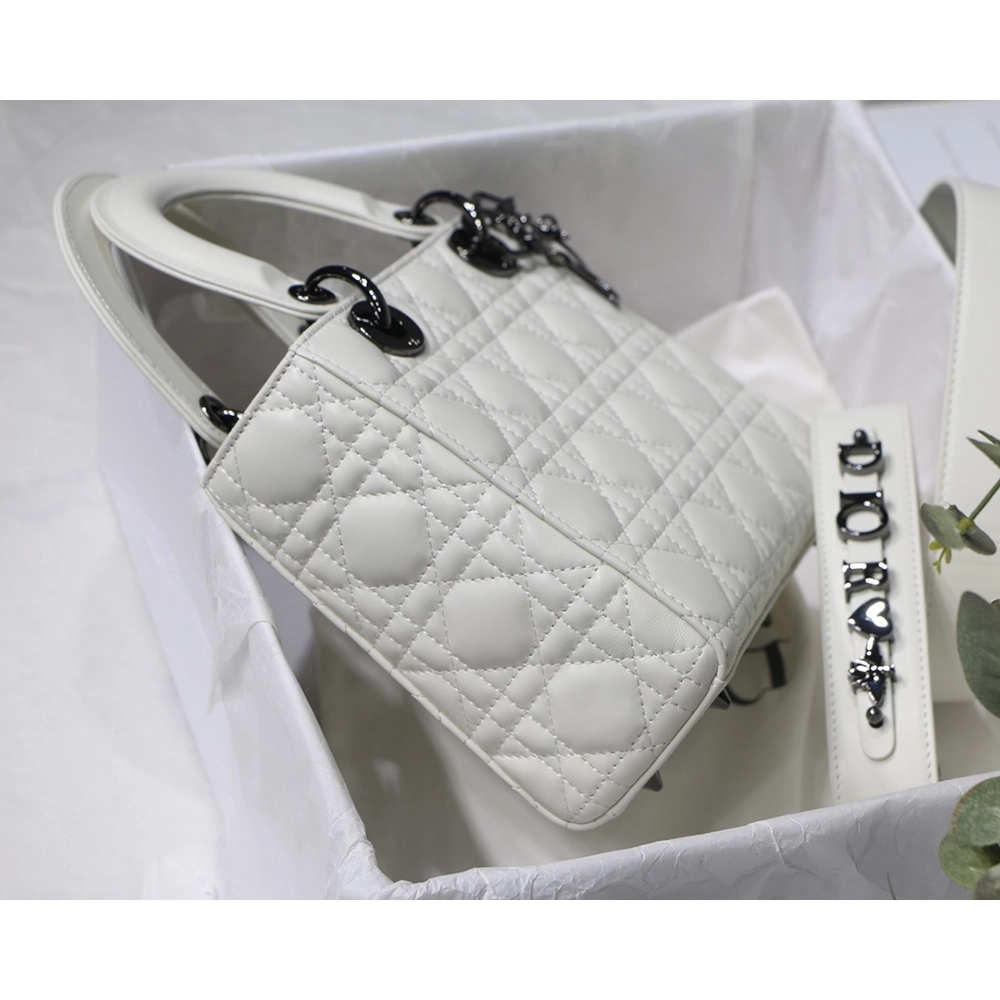 Christian Dior Bags M8001 20cm