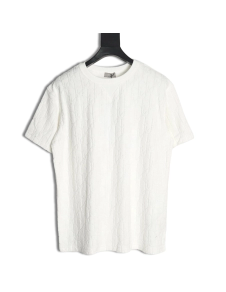 Dior classic jacquard full-print lettering short-sleeved T-shirt,Dior