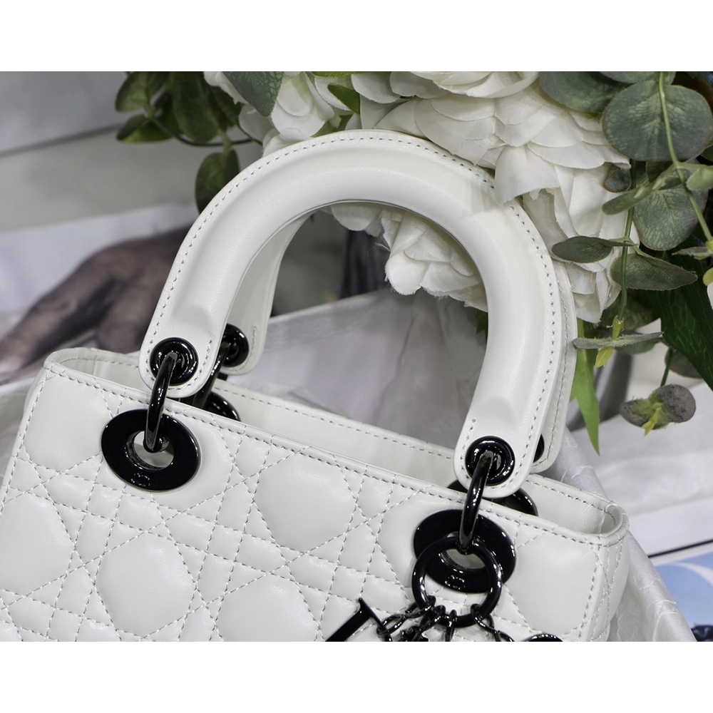 Christian Dior Bags M8001 20cm