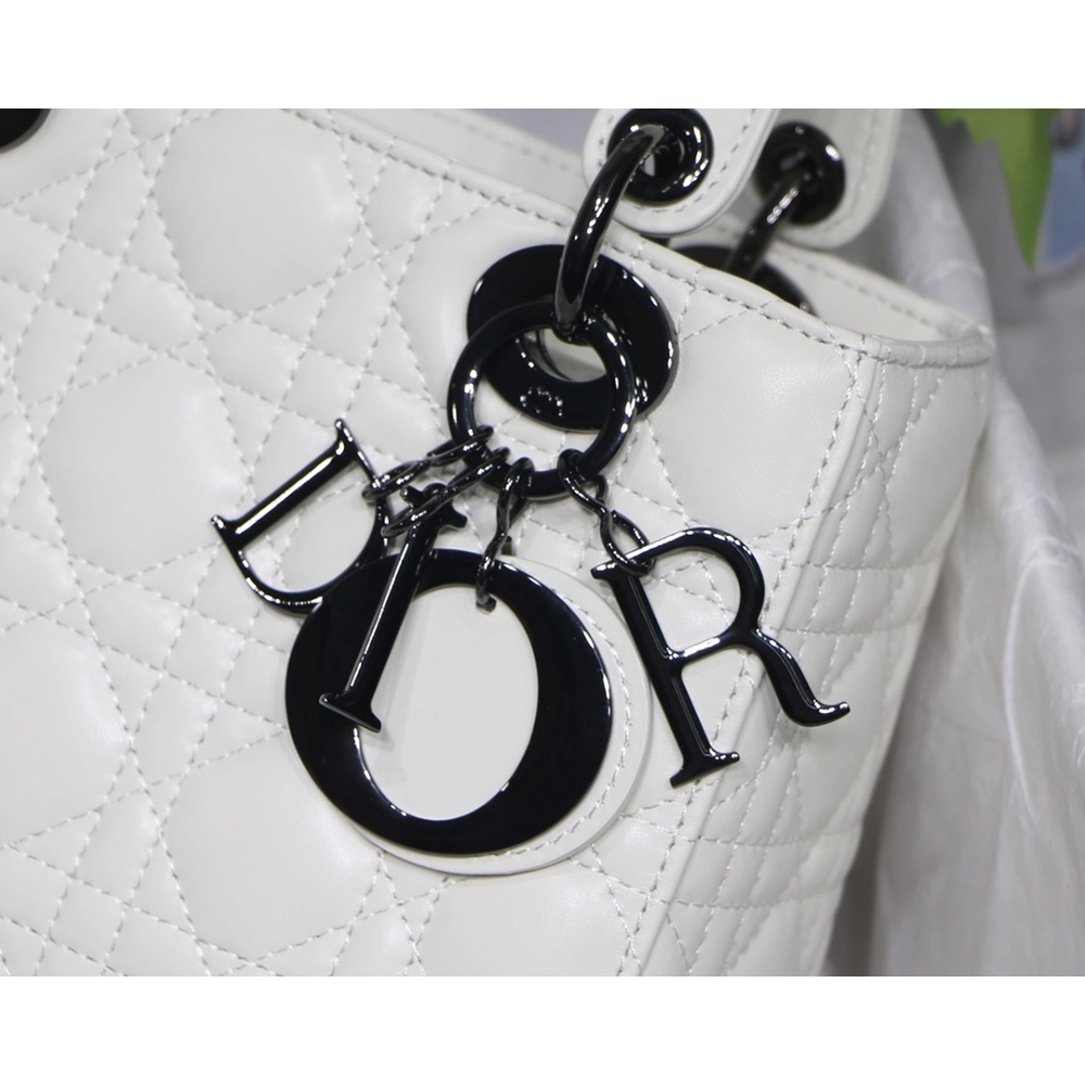 Christian Dior Bags M8001 20cm