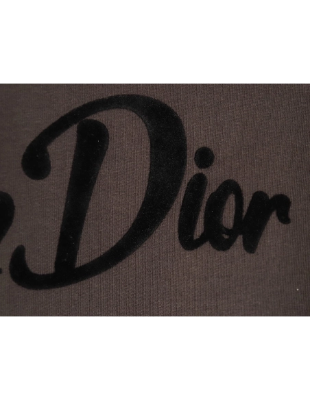 Dior logo pattern embroidered flocked letter T-shirt,Dior