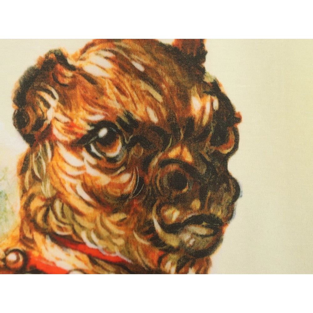 Loewe watercolor bedlington dog short sleeve,Loewe T Shirt,Tshirt,APPAREL