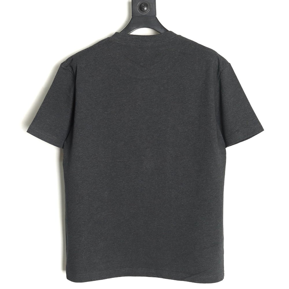 Dior Embroidered Lettering Grey Short Sleeve TShirt,Dior T Shirt,Tshirt,Hiqh quality low price,free shipping