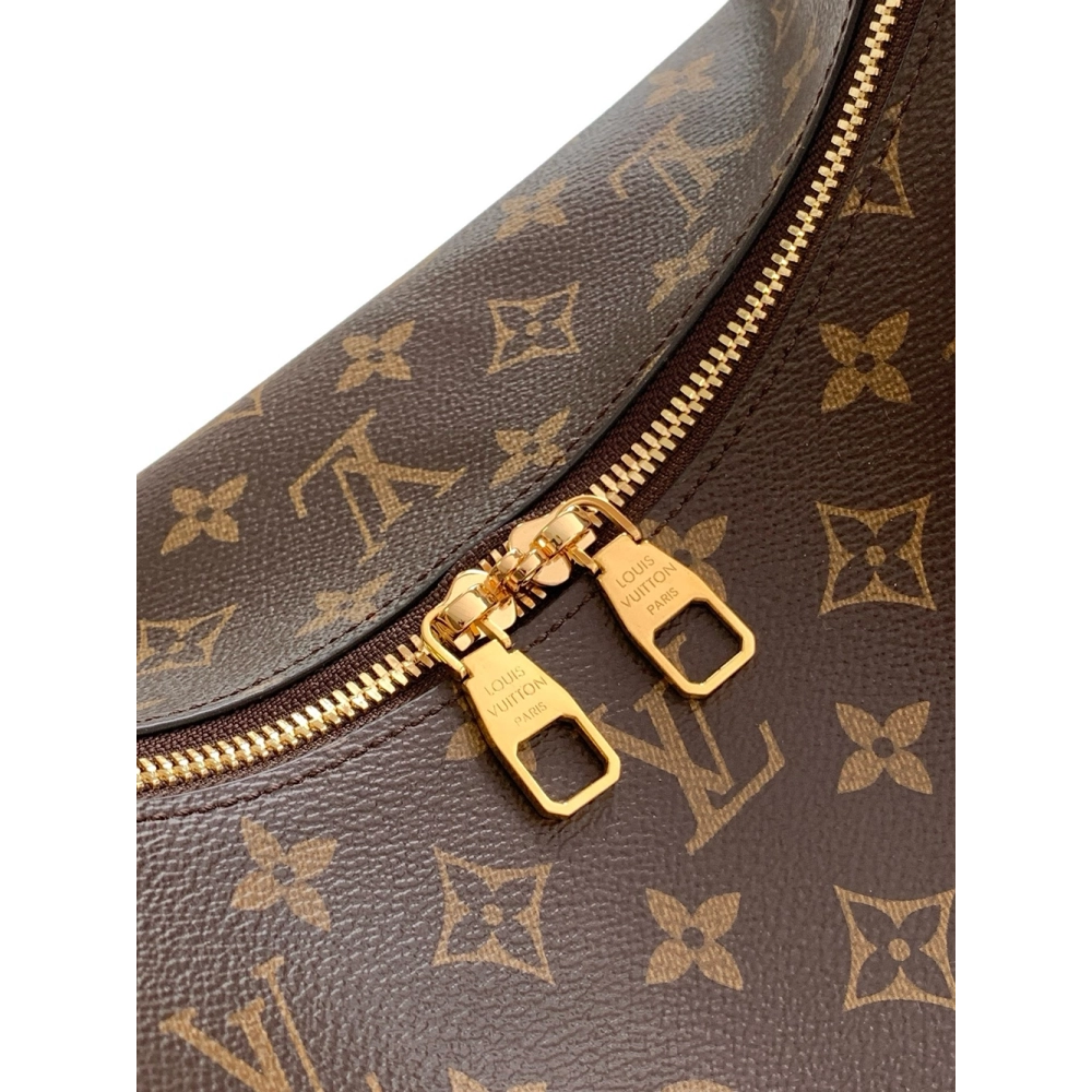 Louis Vuitton Bags,BAGS,LV-M12098250428