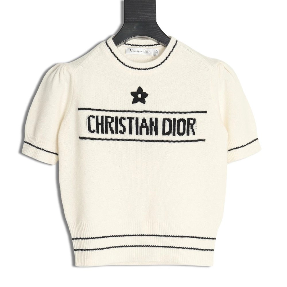 Dior T Shirt,Tshirt,APPAREL,DIOR-02250426