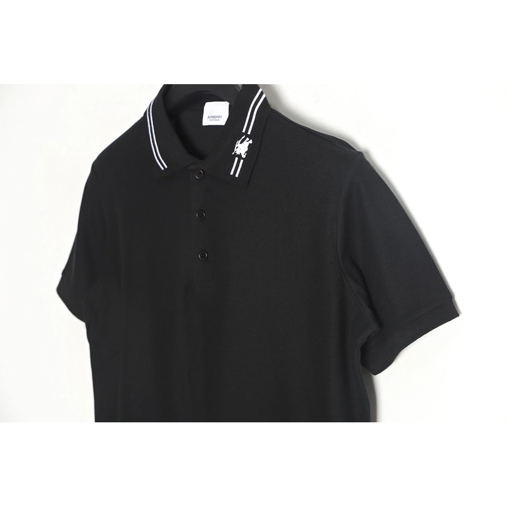 Burberry Shirt,Shirt,APPAREL,BBR-10250406