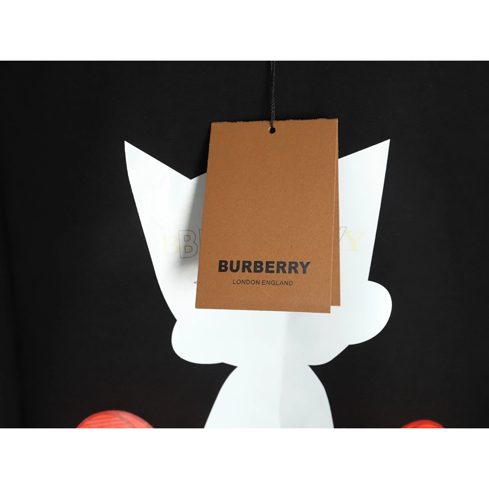 Burberry T Shirt,Tshirt,APPAREL,BBR-50250406
