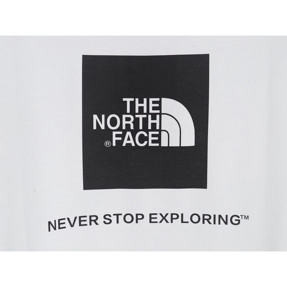 The North Face T Shirt,Tshirt,APPAREL,TNF-18250406
