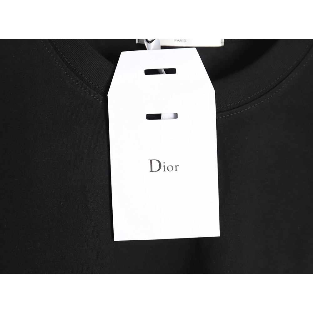 Dior Year of the Snake Limited Edition Embroidered Short Sleeve TSK1,Dior