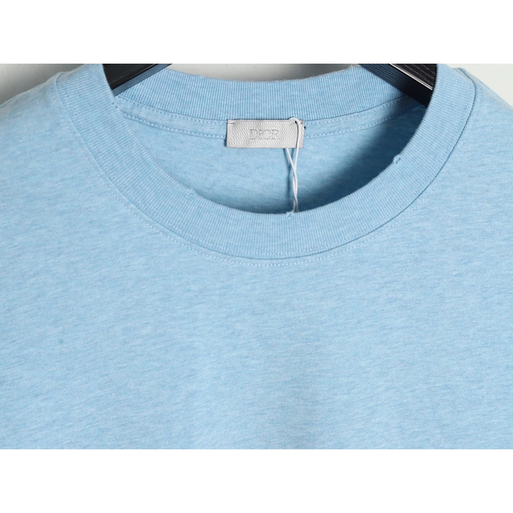 Dior washed distressed letter print short sleeves TSK1,Dior