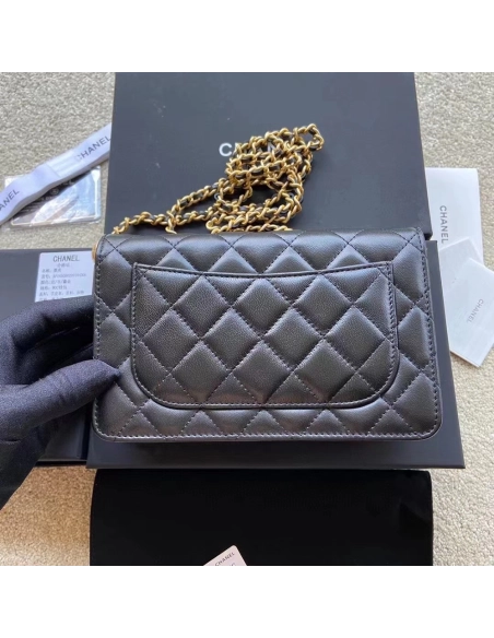 Chanel Bags Bags AP1450 19X13X4cm