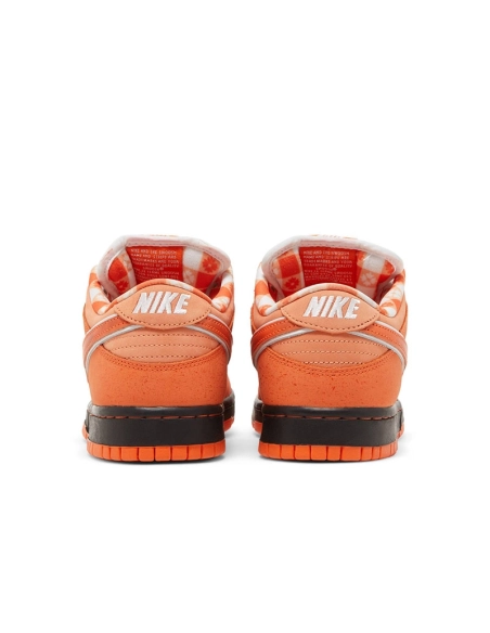 CONCEPTS X DUNK LOW SB ORANGE LOBSTER,Dunk SB,NIKE SHOES Reps
