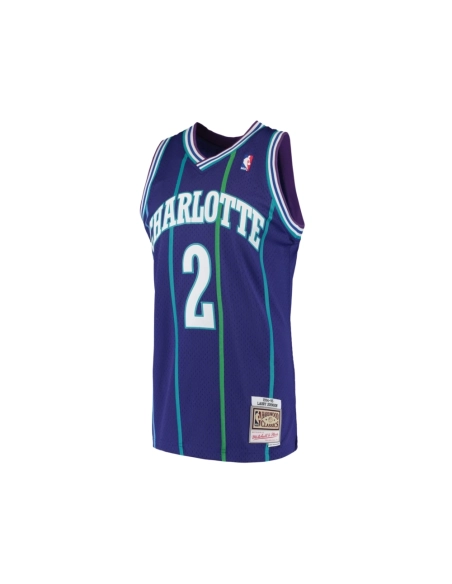 Mens Charlotte Hornets Larry Johnson Purple 1994 95 Hardwood Classics Swingman Jersey,Charlotte Hornets,NBA,JERSEY with free shi
