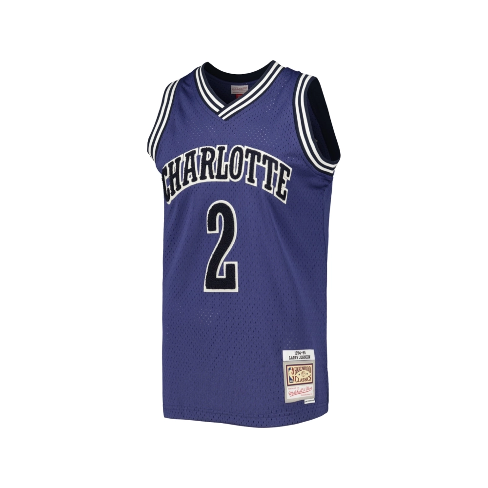 Mens Charlotte Hornets Larry Johnson Purple 1994 95 Hardwood Classics Off-Court Swingman Jersey,Charlotte Hornets,NBA,JERSEY wit