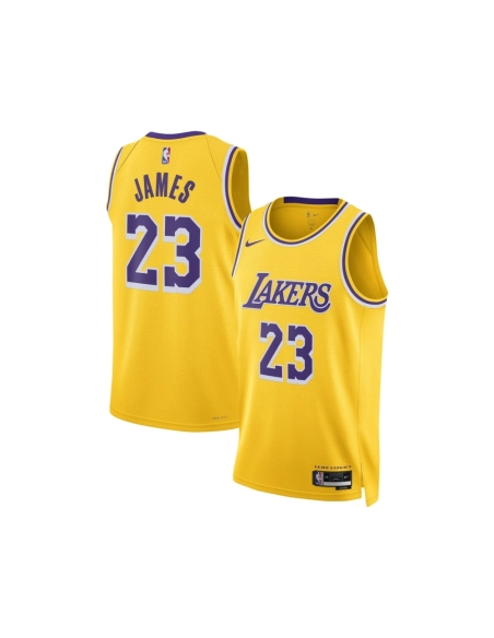 Unisex Los Angeles Lakers LeBron James Gold Swingman Jersey - Icon Edition,Los Angeles Lakers,NBA,JERSEY with free shipping