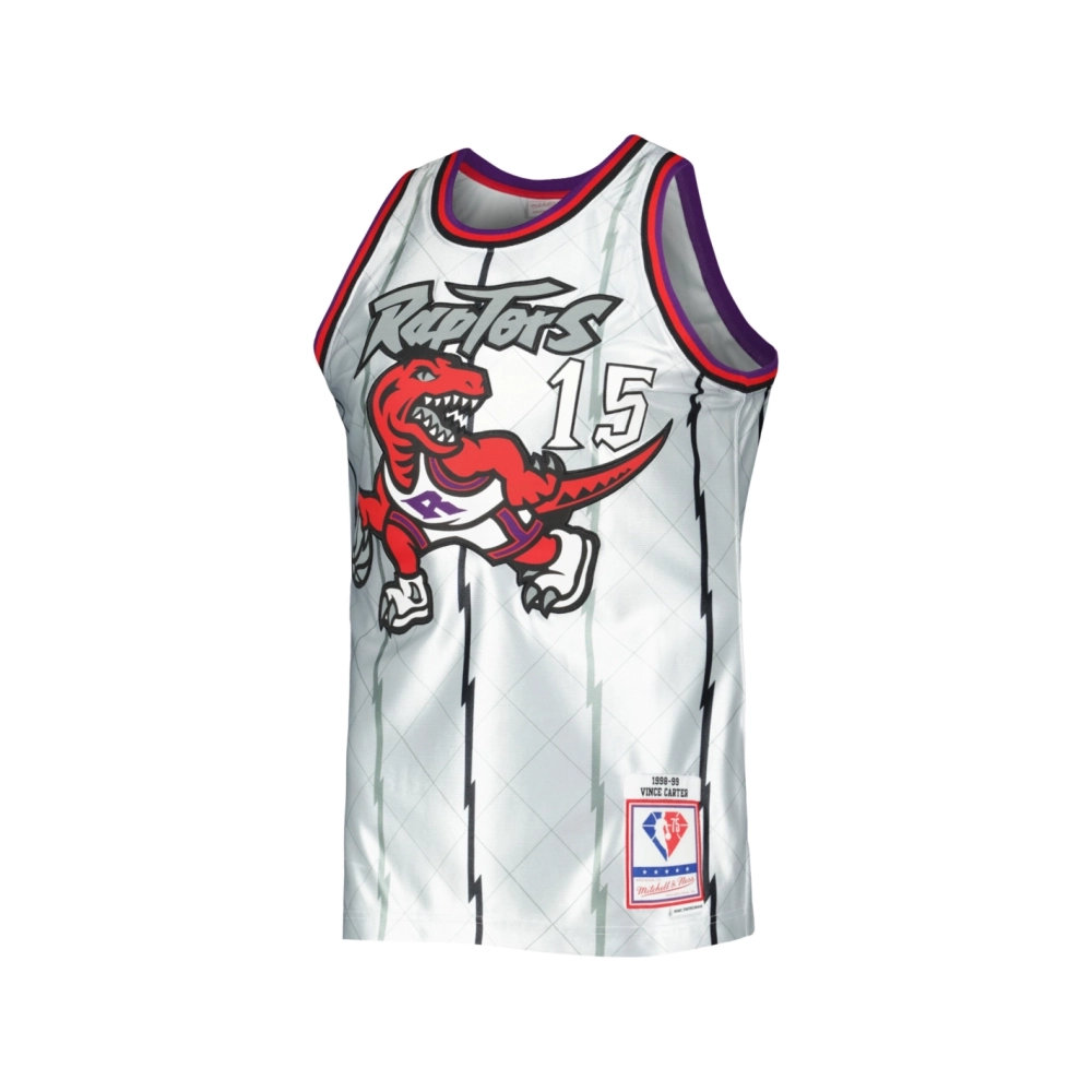 Mens Toronto Raptors Vince Carter Platinum 1998 99 Hardwood Classics 75th Anniversary Swingman Jersey,Toronto Raptors,NBA,JERSEY