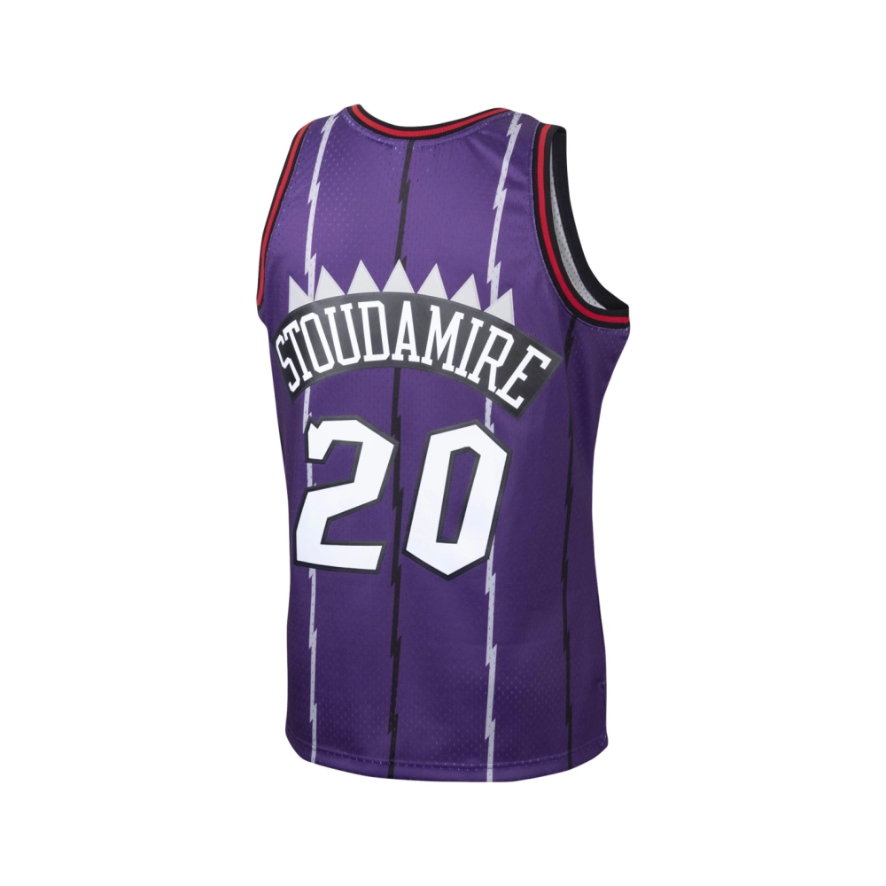 Mens Toronto Raptors Damon Stoudamire Purple 1995 96 Hardwood Classics Swingman Jersey,Toronto Raptors,NBA,JERSEY with free ship